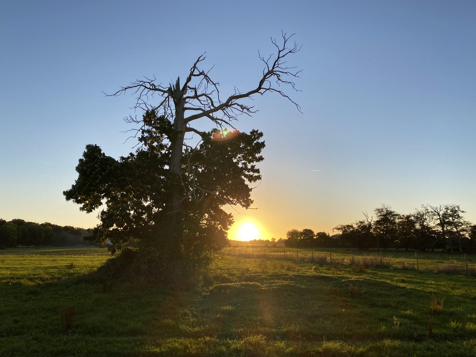 Coucher de soleil sur le pré de L'Herbagère de Montaure
