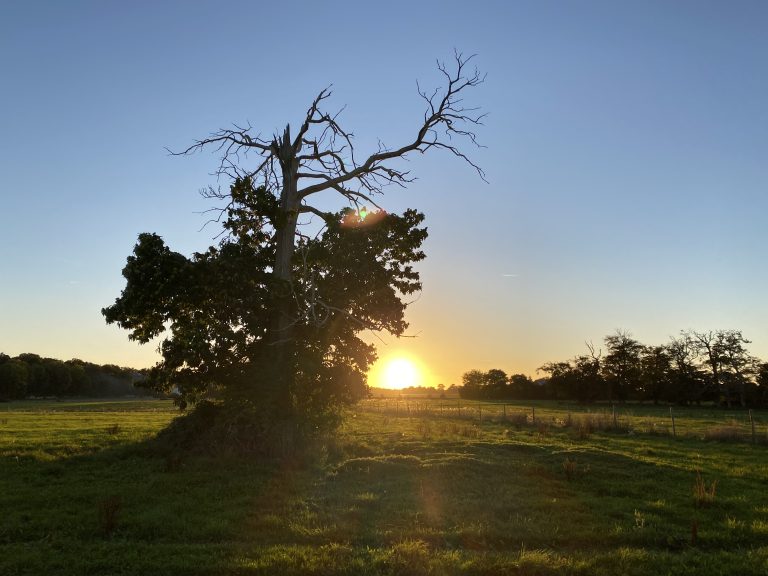 Coucher de soleil sur le pré du domaine, à une heure de Paris
