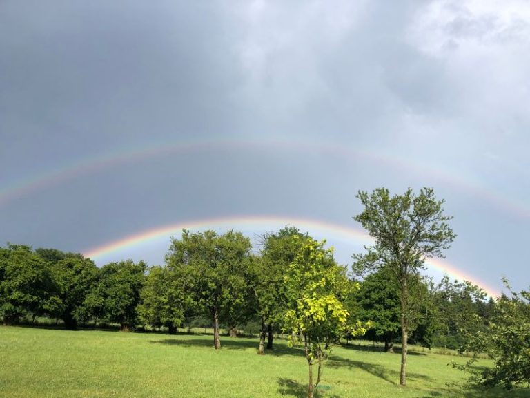 Double arc-en-ciel au-dessus du verger de pommiers de l'Herbagère de Montaure