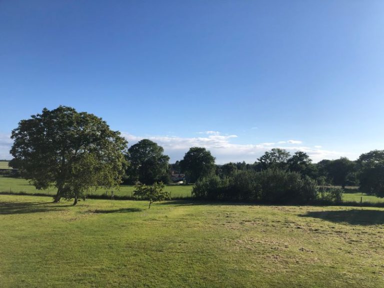 Grand chêne et pré ouvert sur la campagne normande par ciel bleu