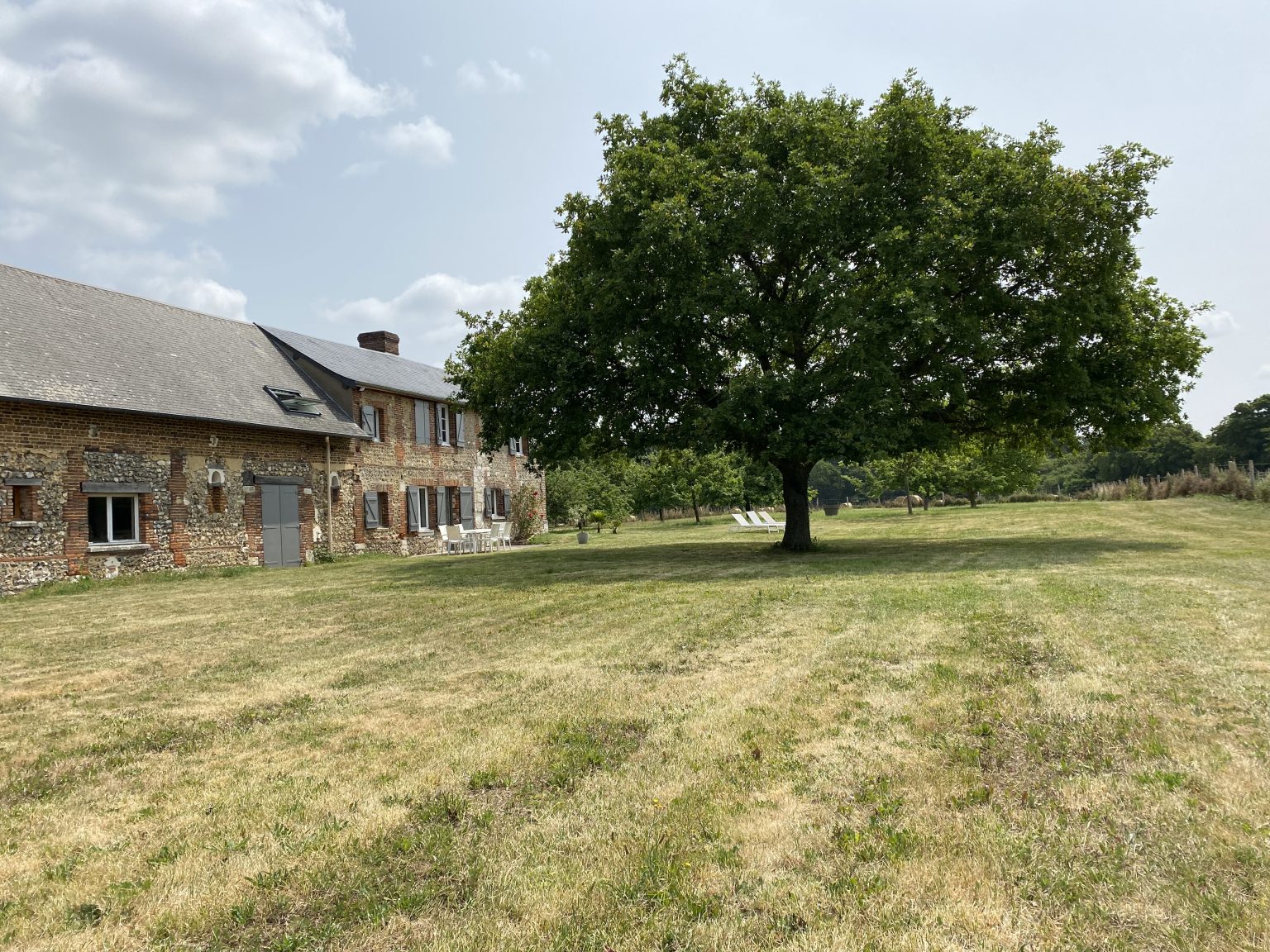 Le domaine normand de L'Herbagère de Montaure vu depuis l'herbage, transats sous le grand chêne