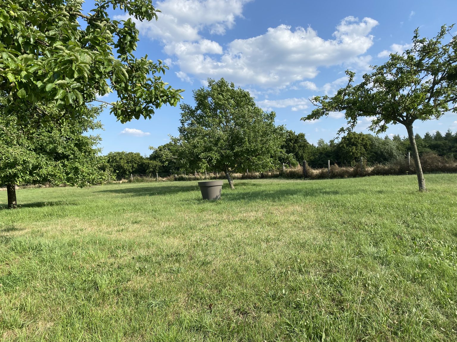Les deux hectares de verger privatisés de L'Herbagère de Montaure, en Normandie